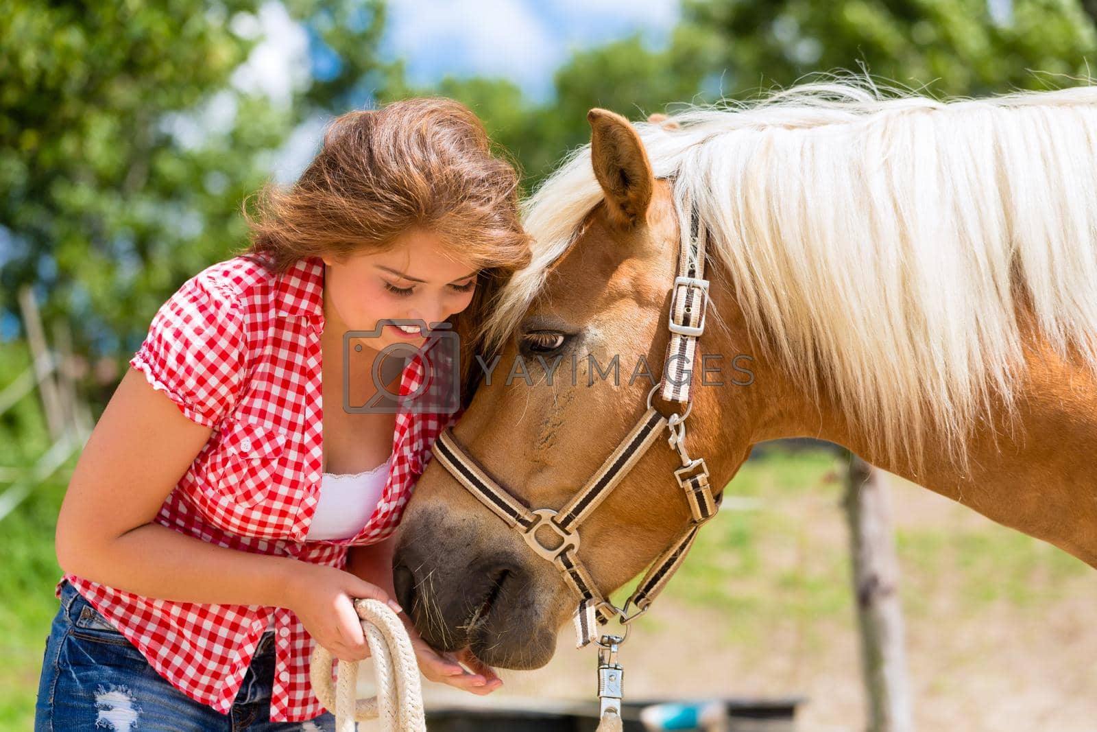 Royalty free image of Woman feeding horse on pony farm by Kzenon