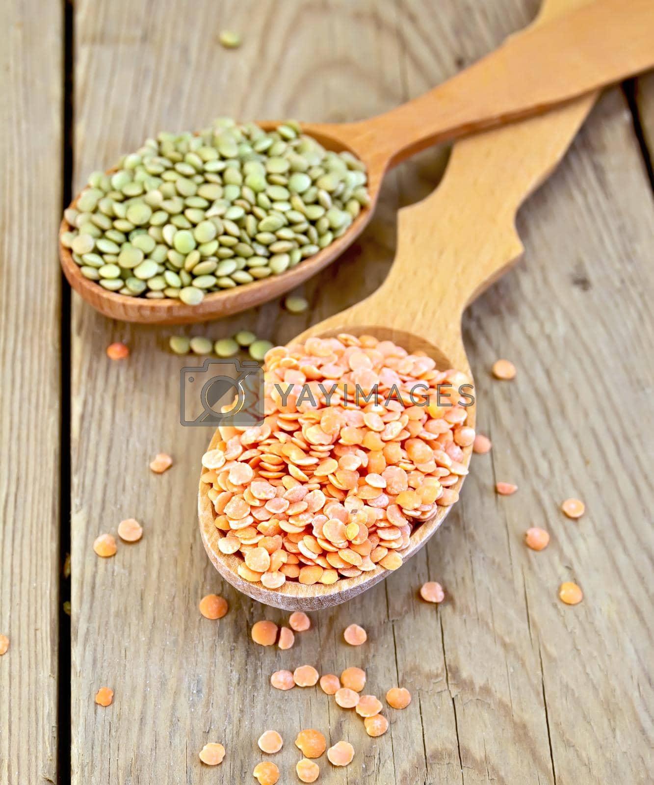 Royalty free image of Lentils red and green in spoon on wooden board by rezkrr