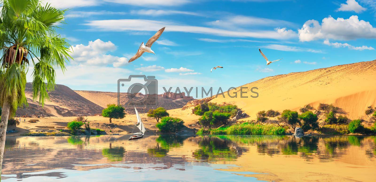 Travel on sailboat by picturesque river Nile in Aswan