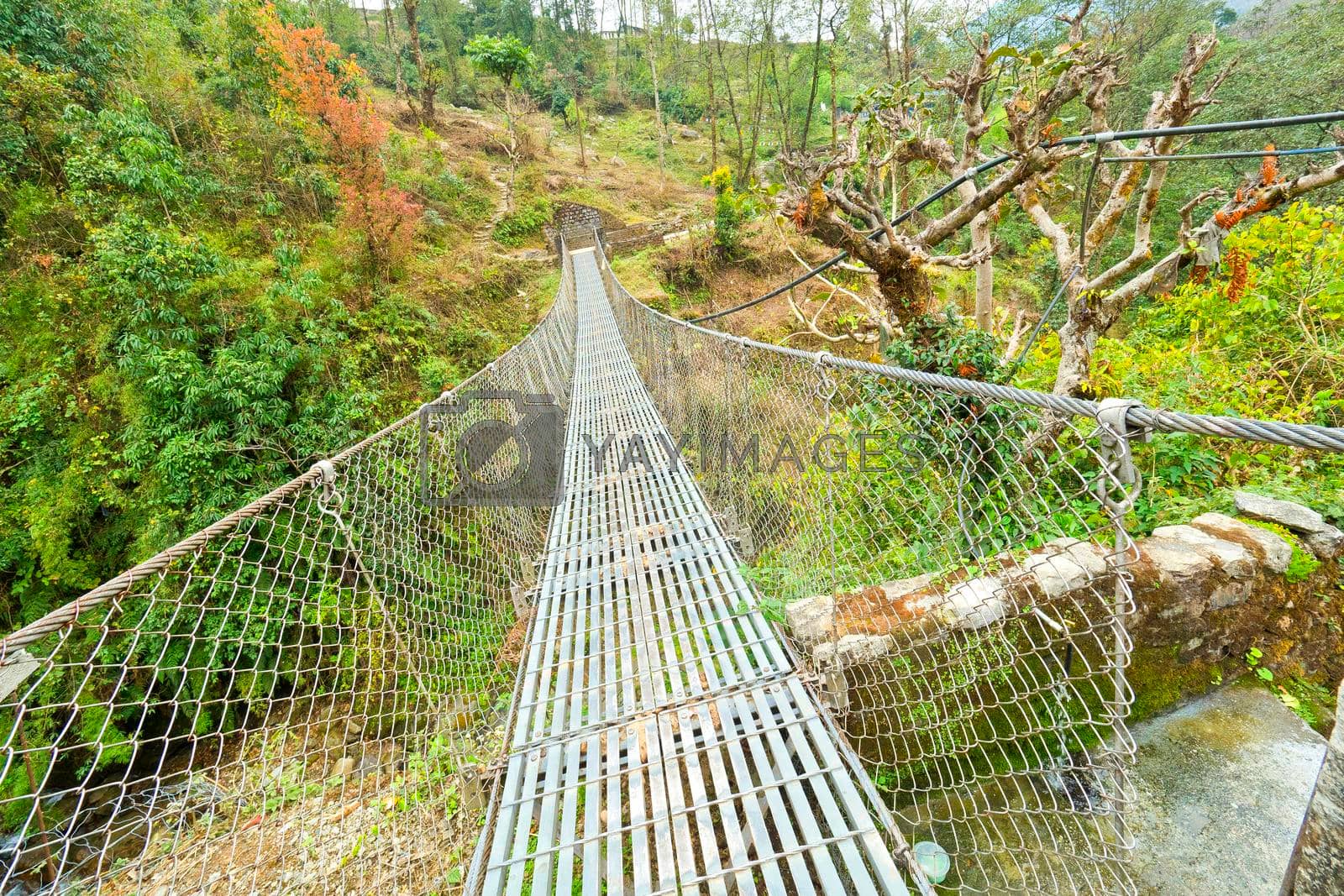 Royalty free image of Suspension Footbridge, Trek to Annapurna Base Camp, Himalaya, Nepal by alcaproac