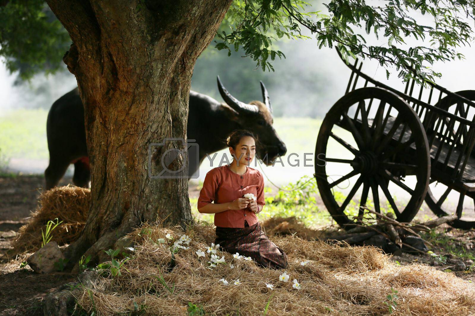 Asian woman wearing traditional thai culture, in field, vintage style listening radio on buffalo and farm background
