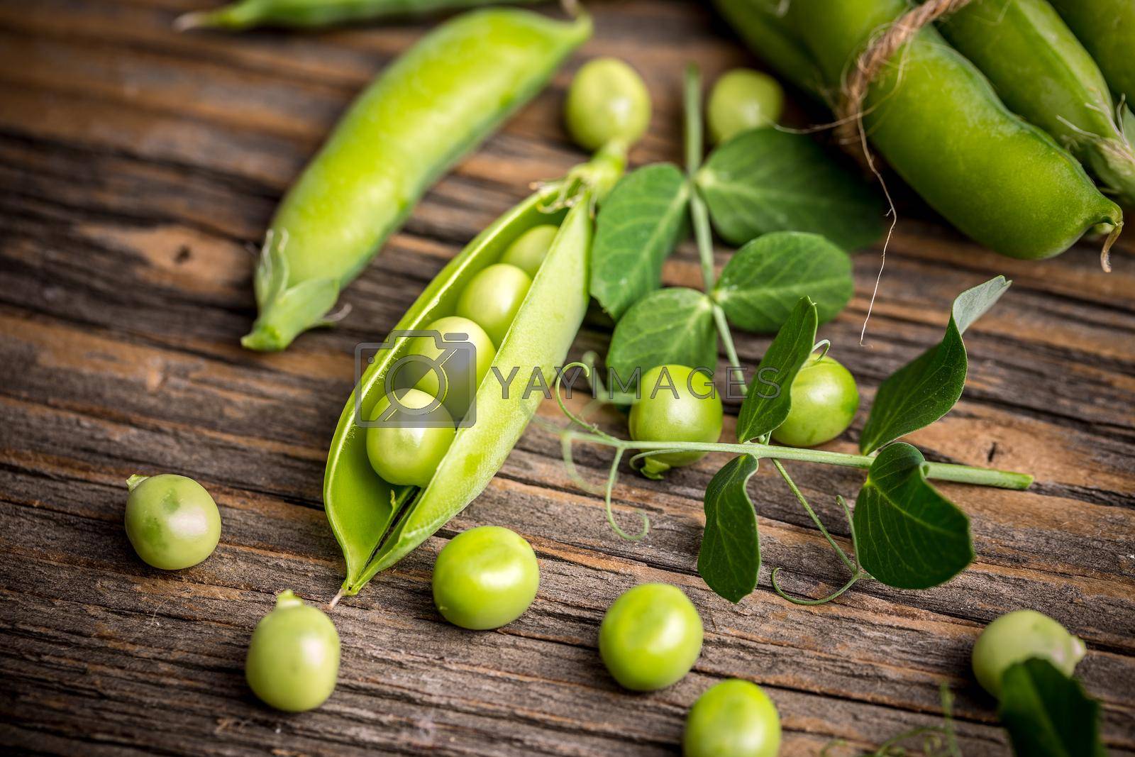 Royalty free image of Fresh green pea pod  by grafvision