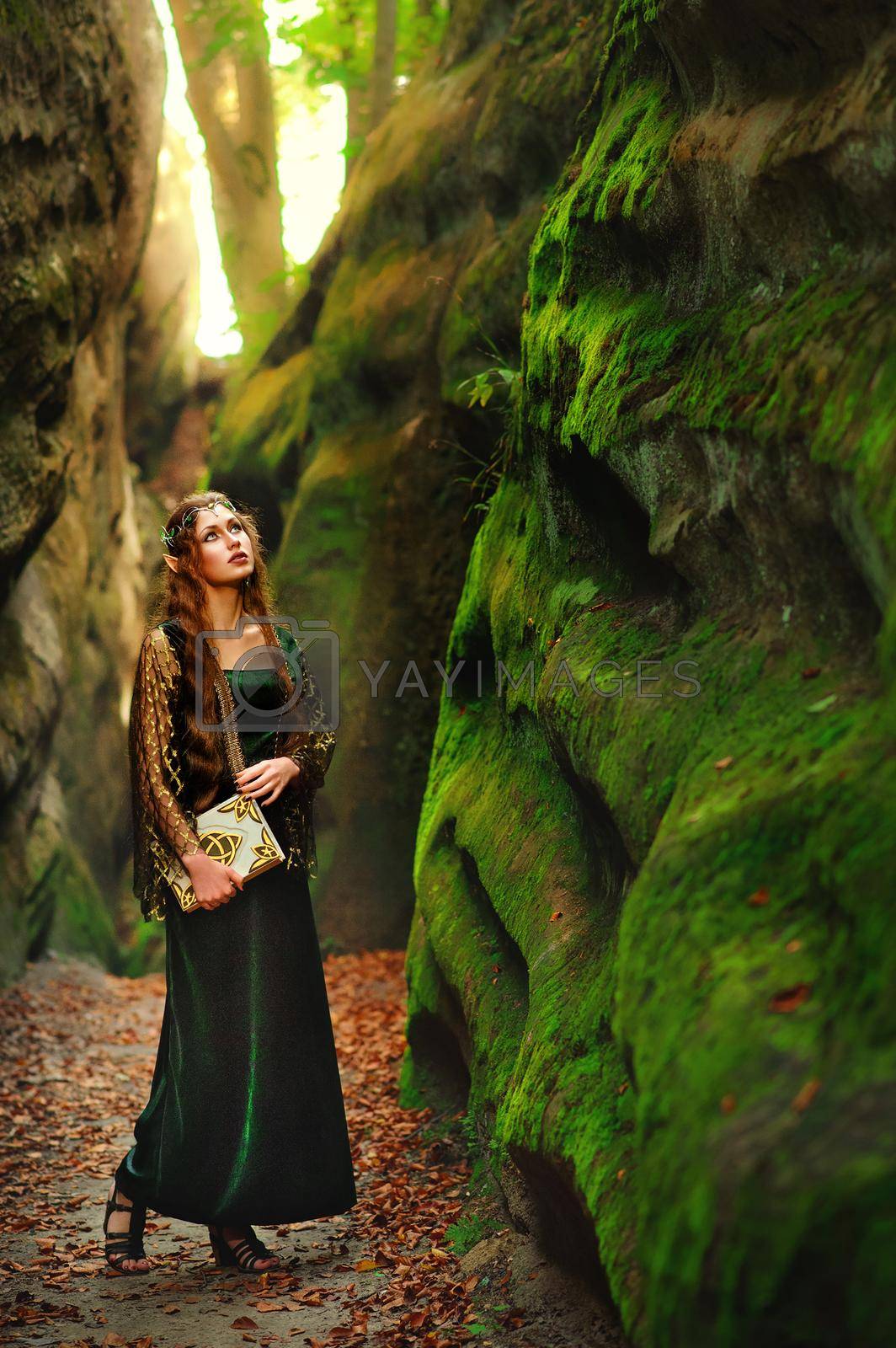 Royalty free image of Young female elf wandering in the forest holding an old book by SerhiiBobyk
