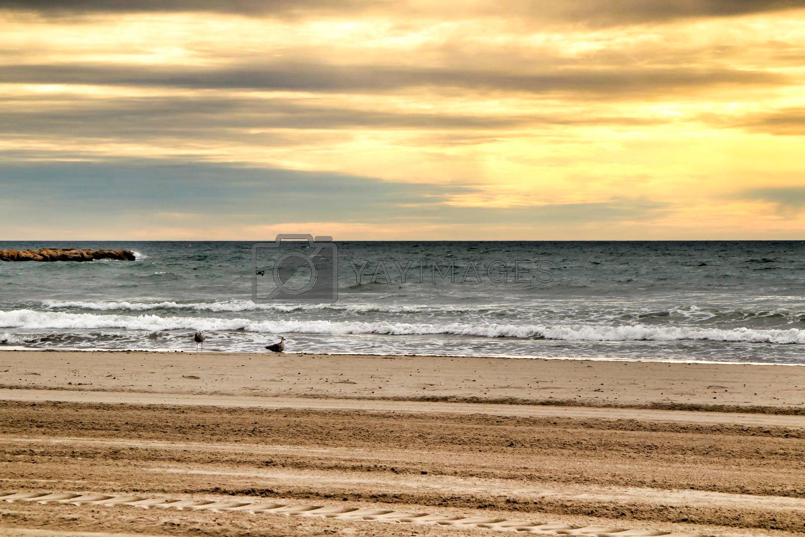 Royalty free image of Beach under golden stormy sky in Spain by soniabonet