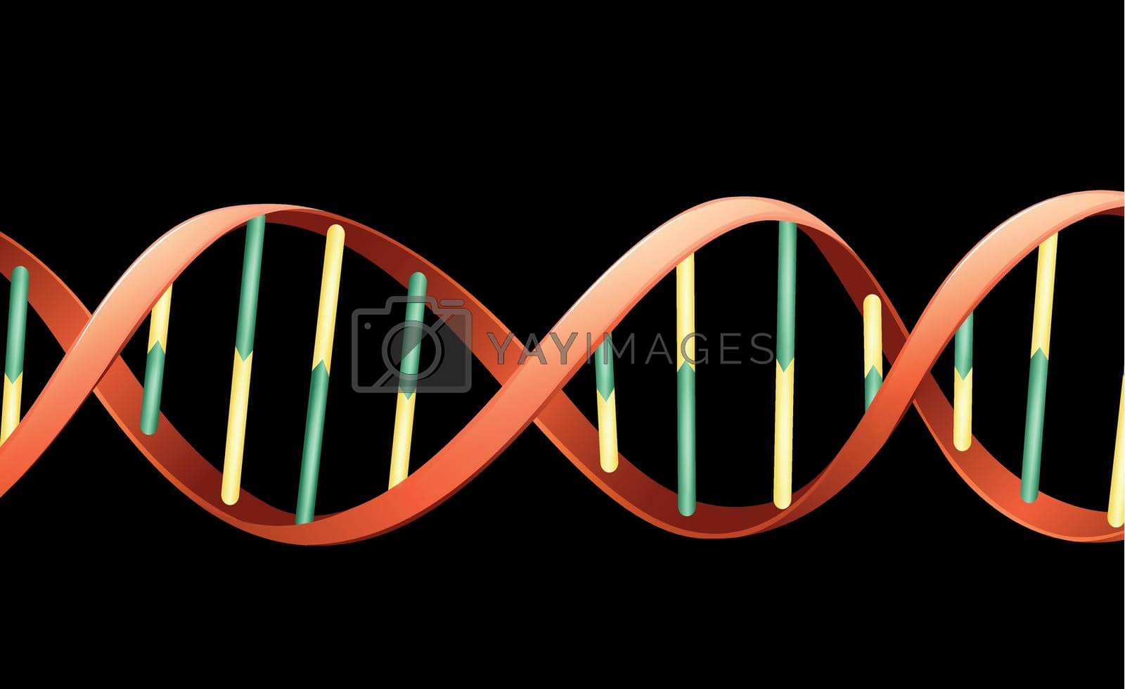 Royalty free image of DNA by iimages