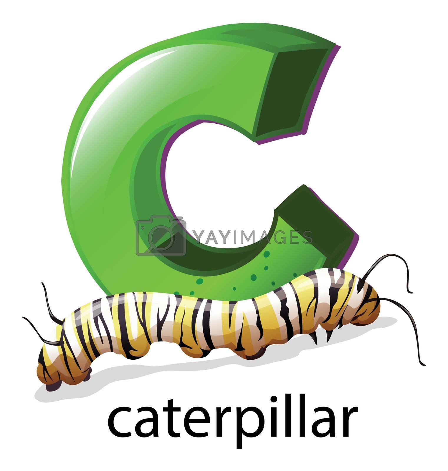 Royalty free image of A letter C for caterpillar by iimages