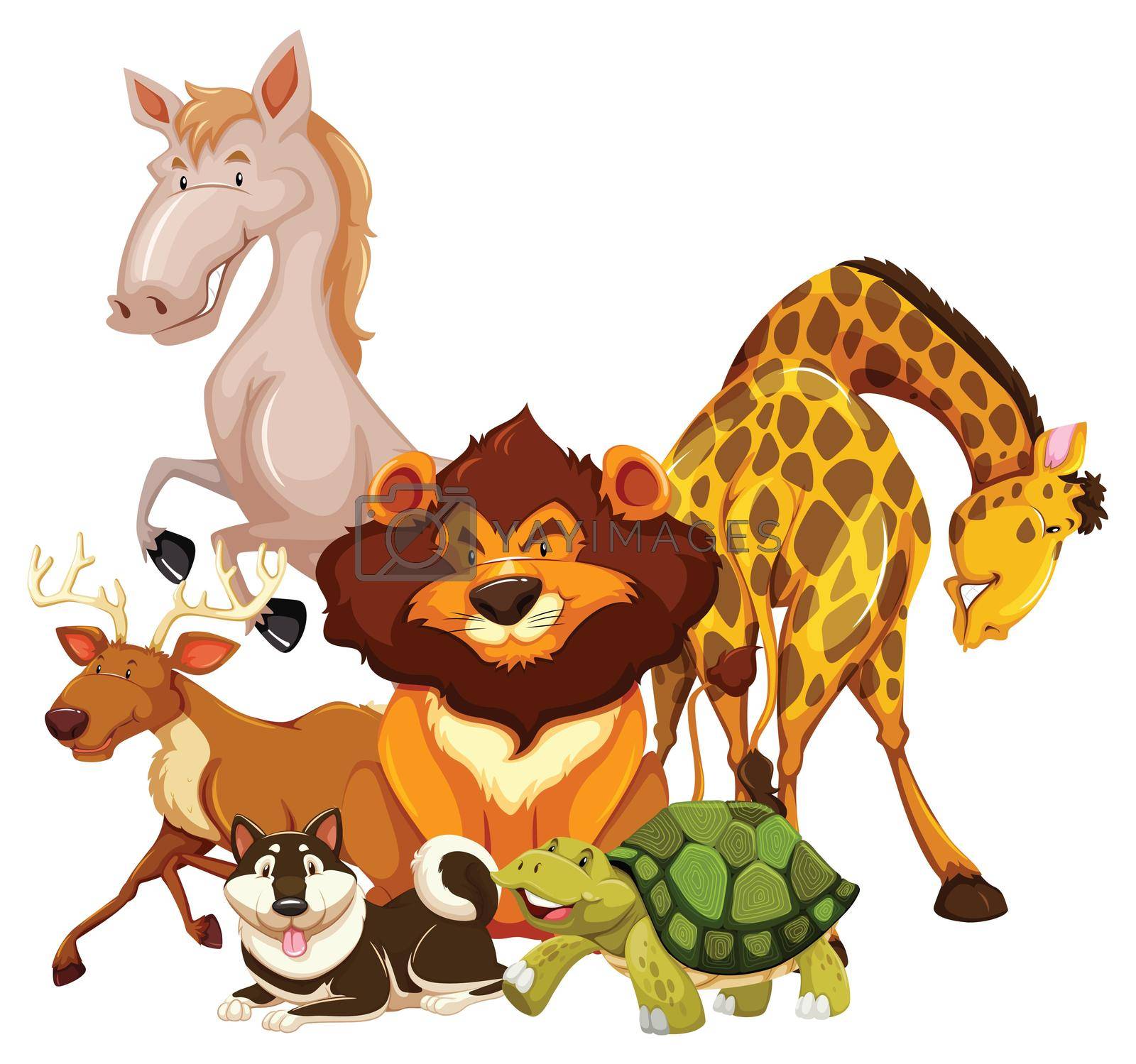 Group of animals on a white background