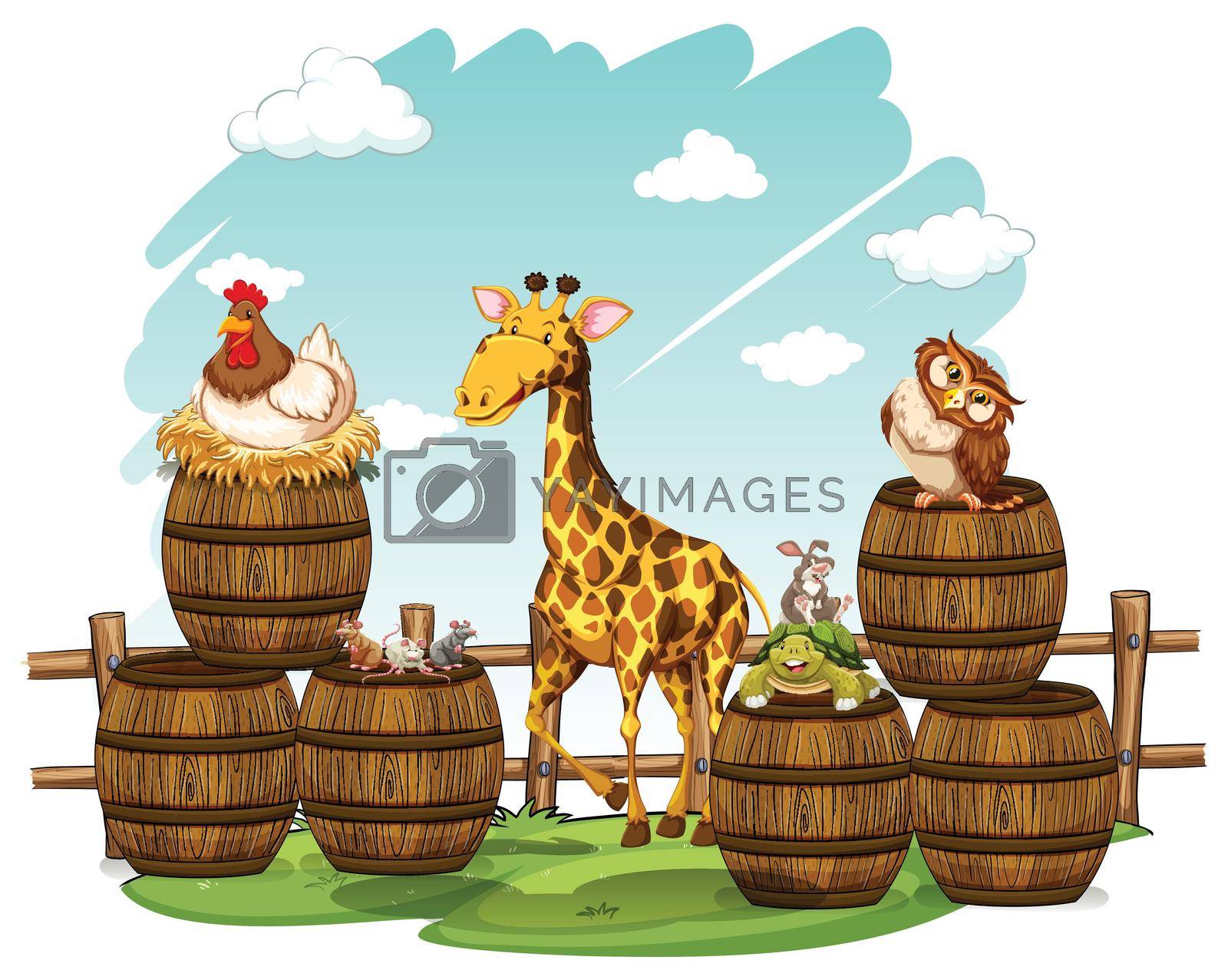 Animals on the barrels illustration