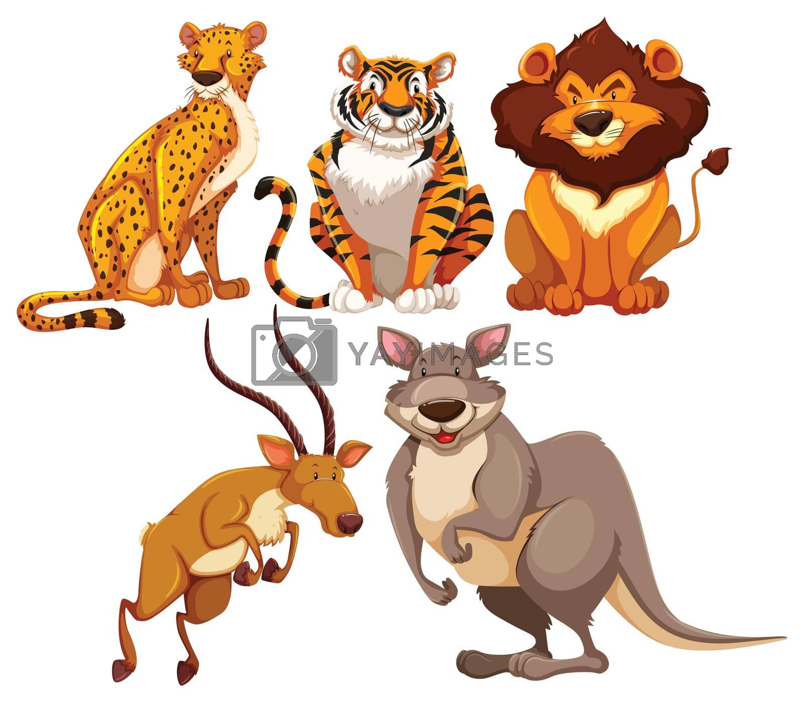 Set of wildlife animals in different position