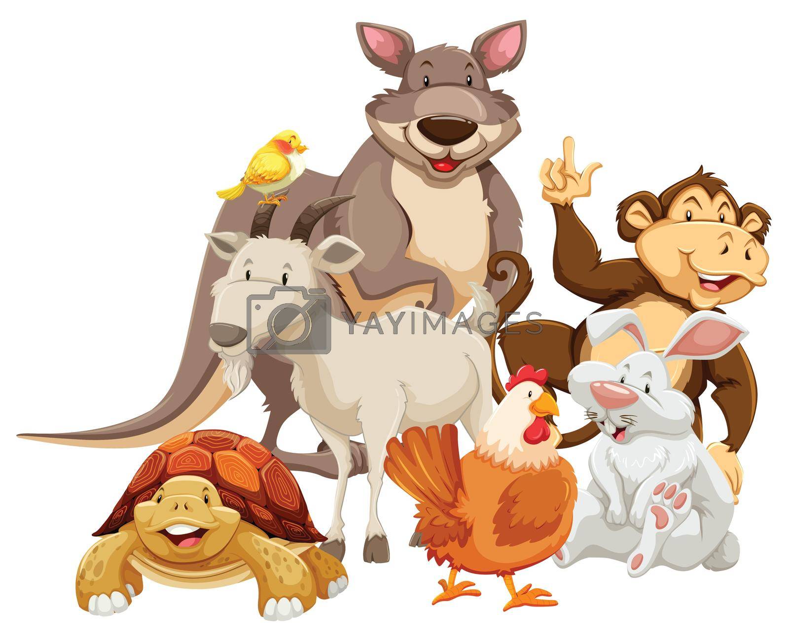 Group of mix wild animals smiling