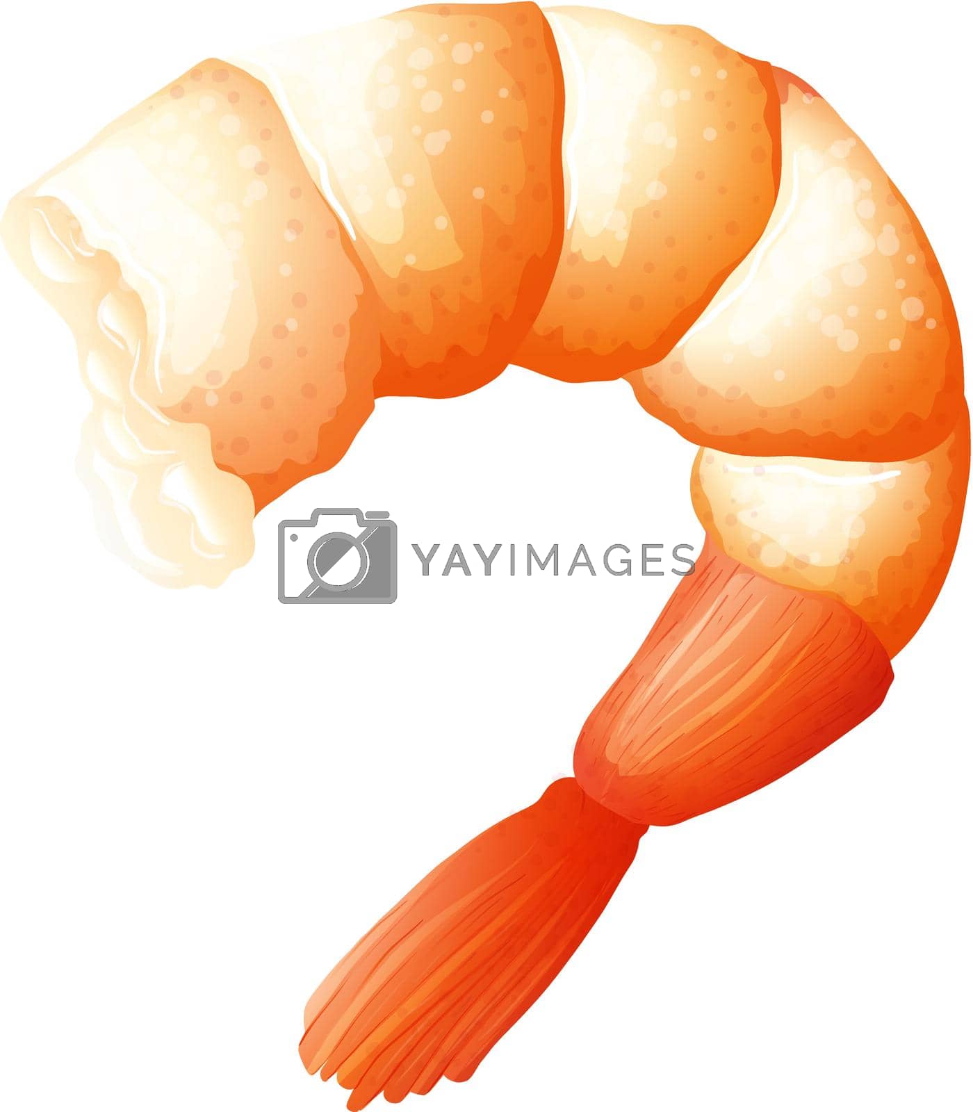 Royalty free image of Shrimp tail on white by iimages