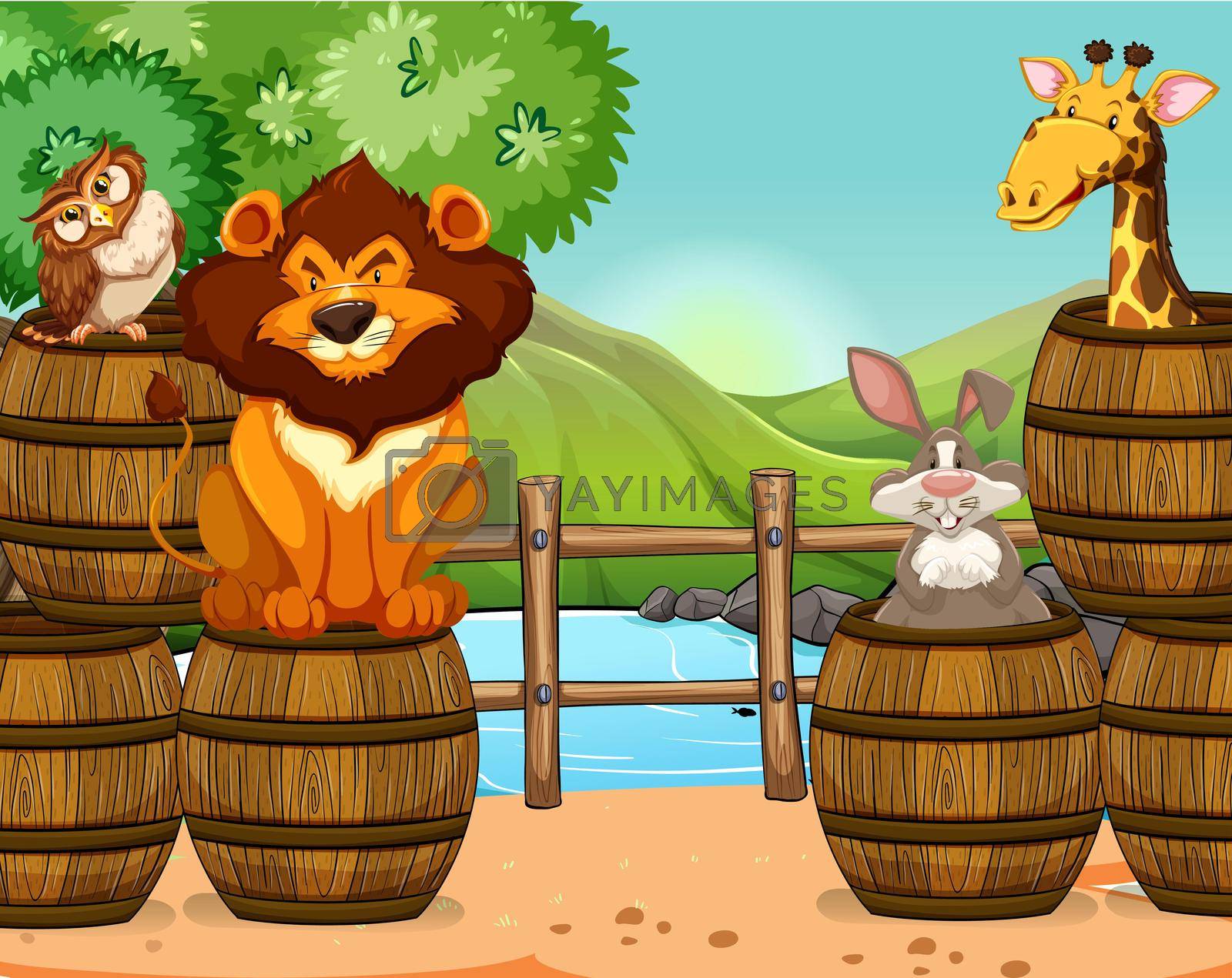 Group of animals inside and on the barrels