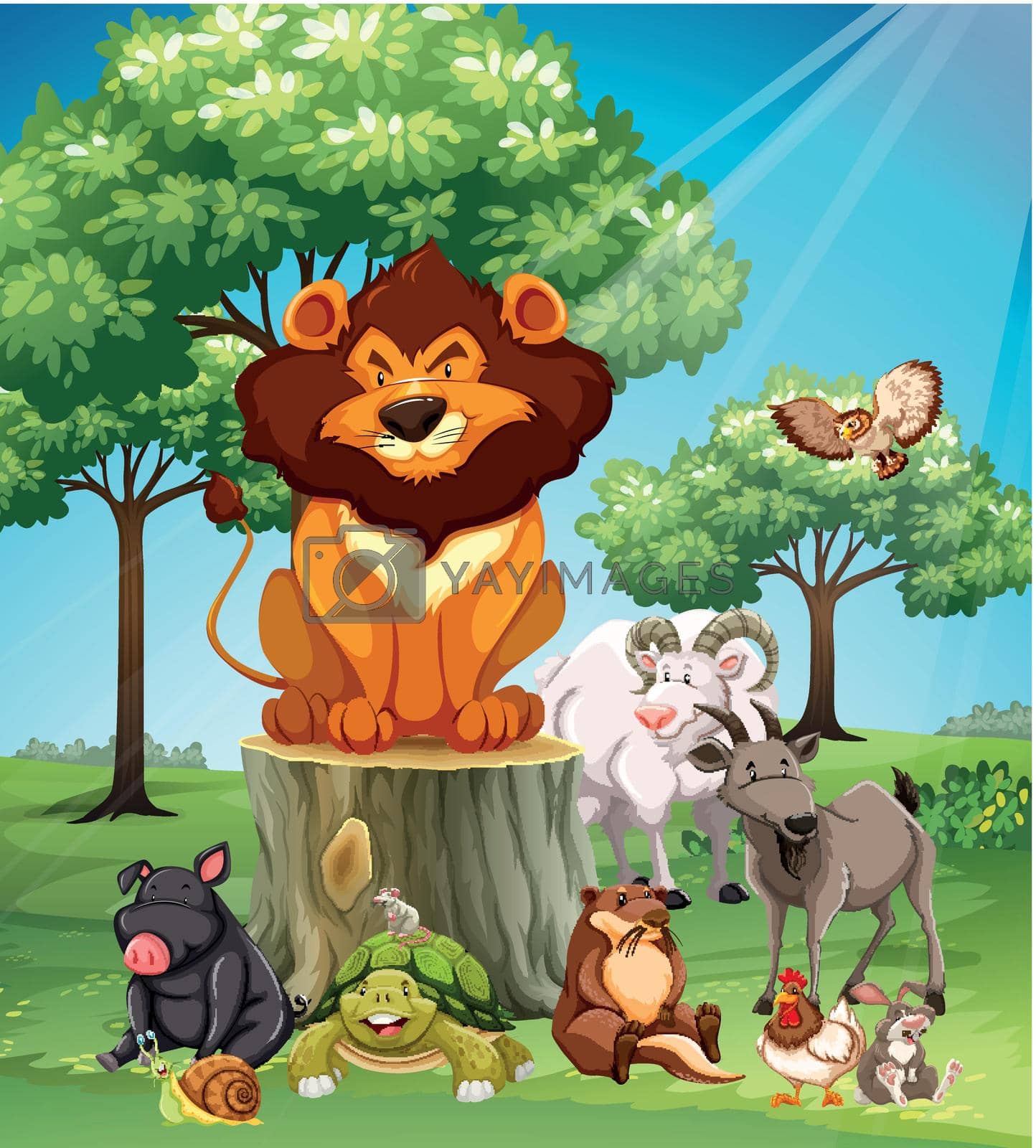 Many animals in the safari illustration