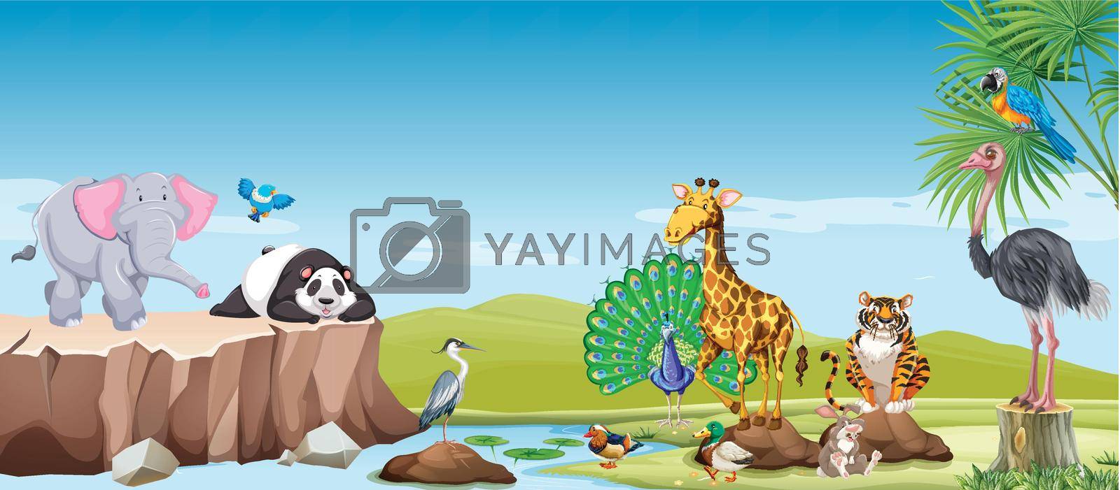 Wild animals in the field illustration