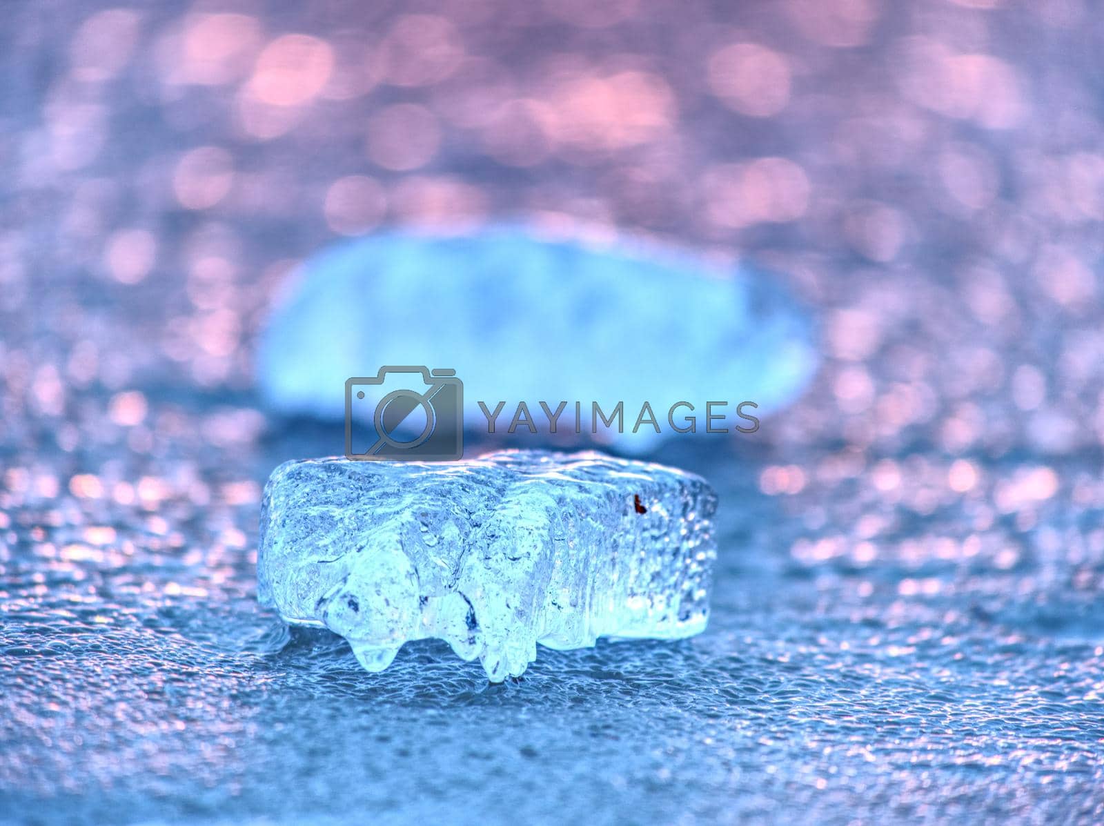 Royalty free image of Ice shard and small cracked ice pieces on melring glacier. Icy fragments are melting  by rdonar2