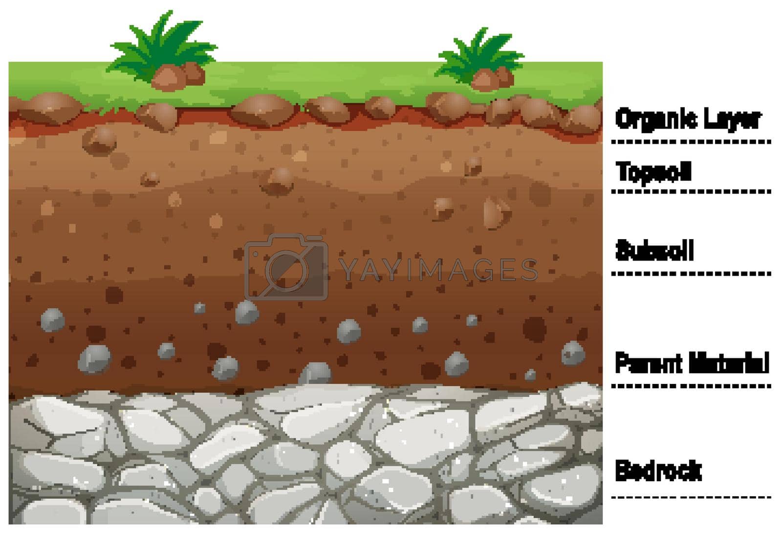 Royalty free image of Diagram showing different layers of soil by iimages