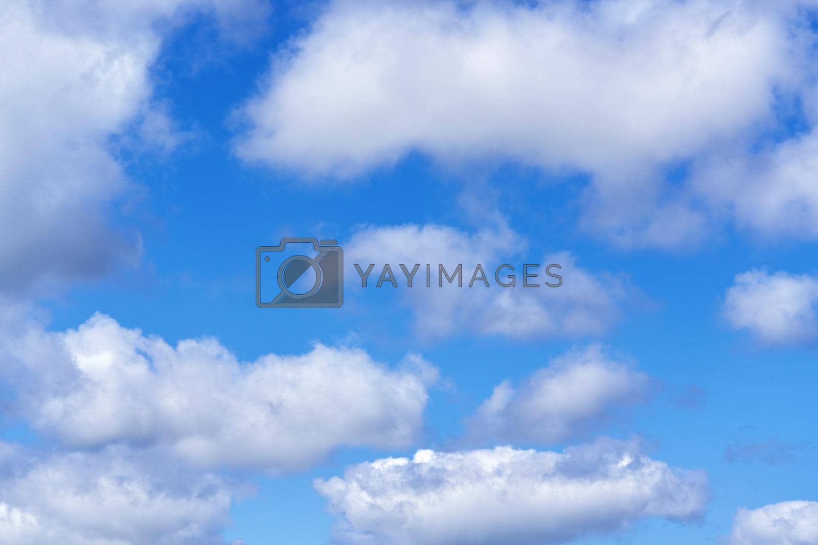Royalty free image of White cumulus clouds on blue sky background, natural phenomenon by vizland
