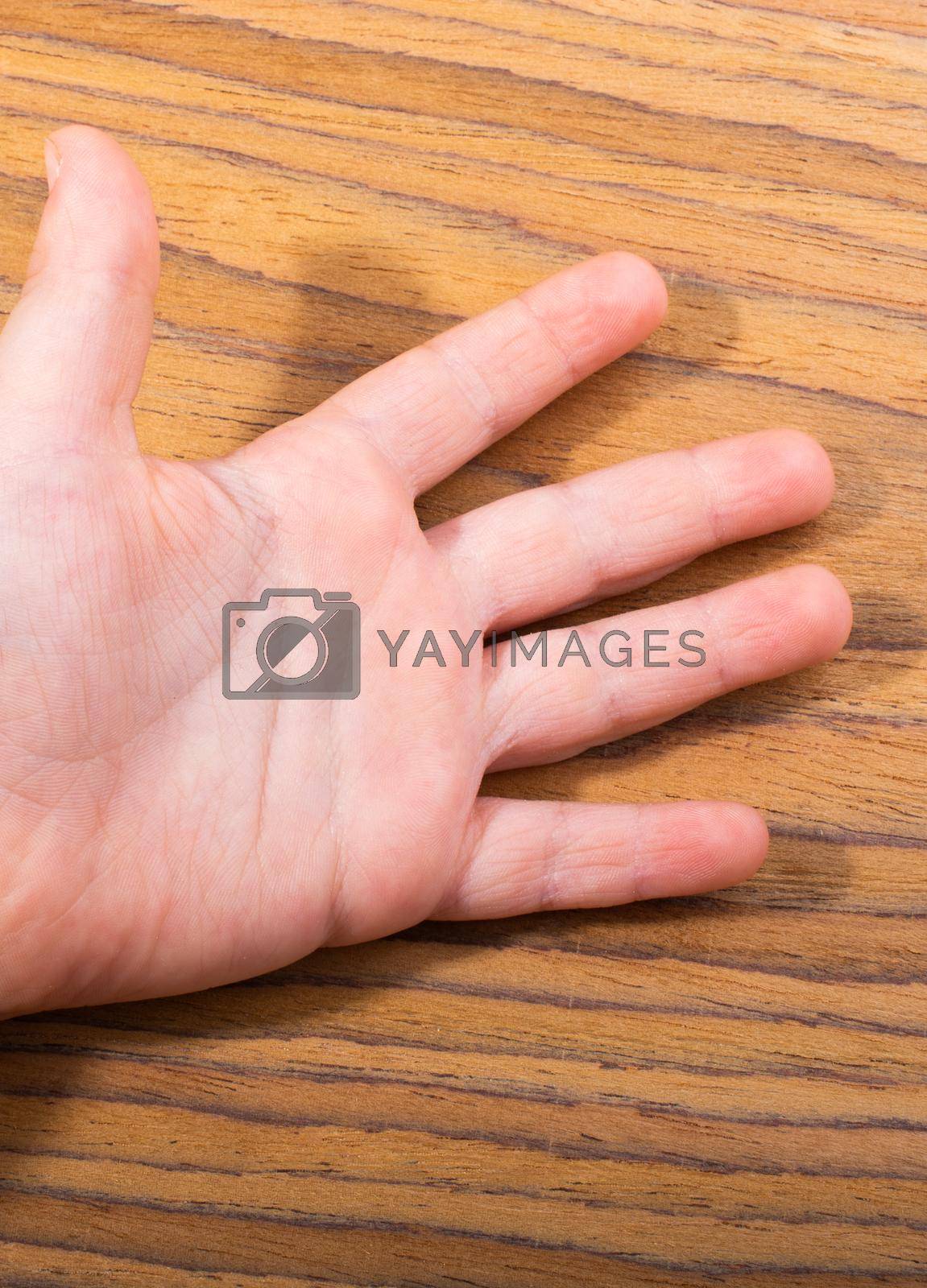 Toddlers hand open with five fingers on wooden texture