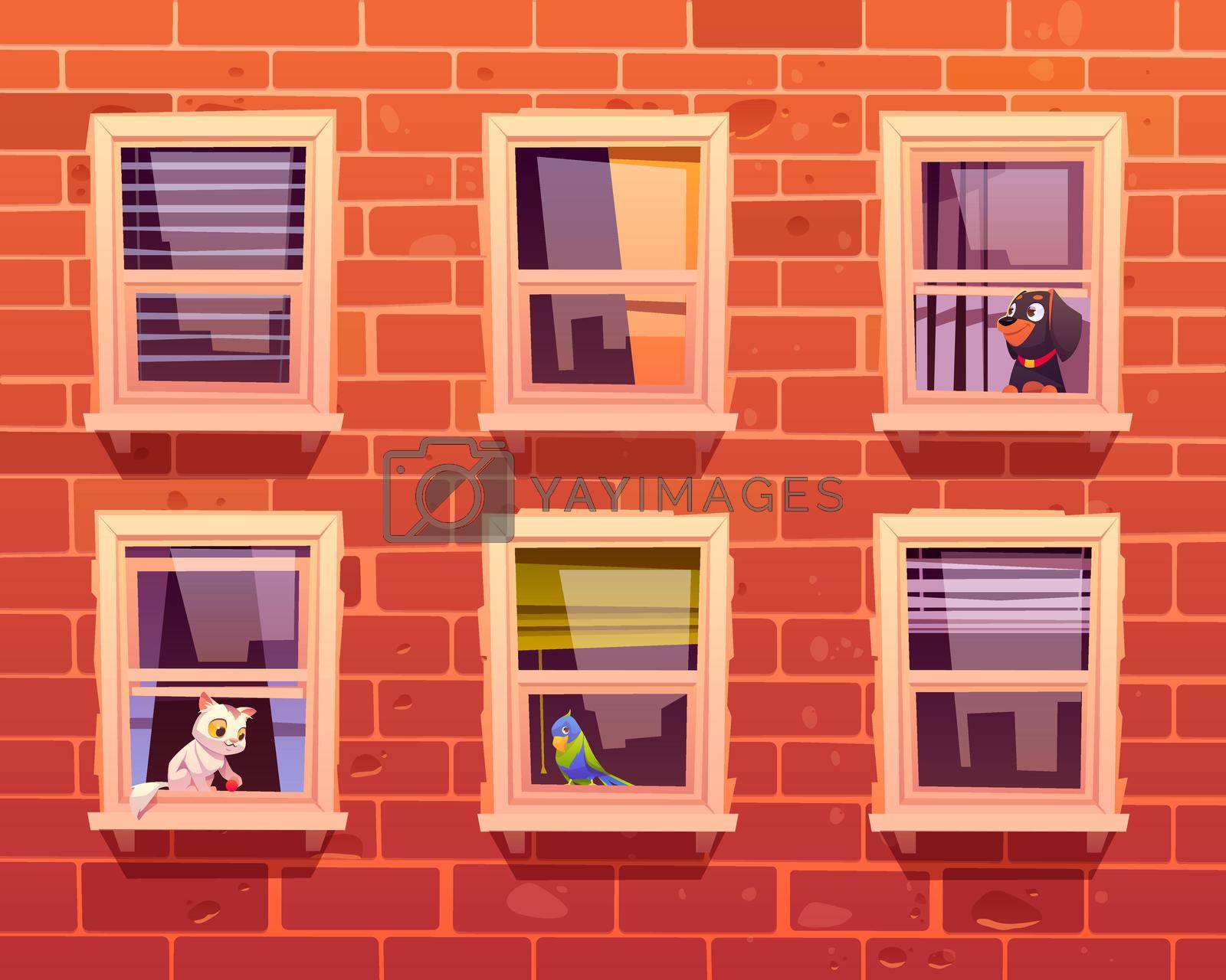 Pets in windows, cat, dog and parrot sit on windowsills inside of room looking out. Brick wall facade front view with cute kitten with toy, puppy and bird. Domestic animals Cartoon vector illustration