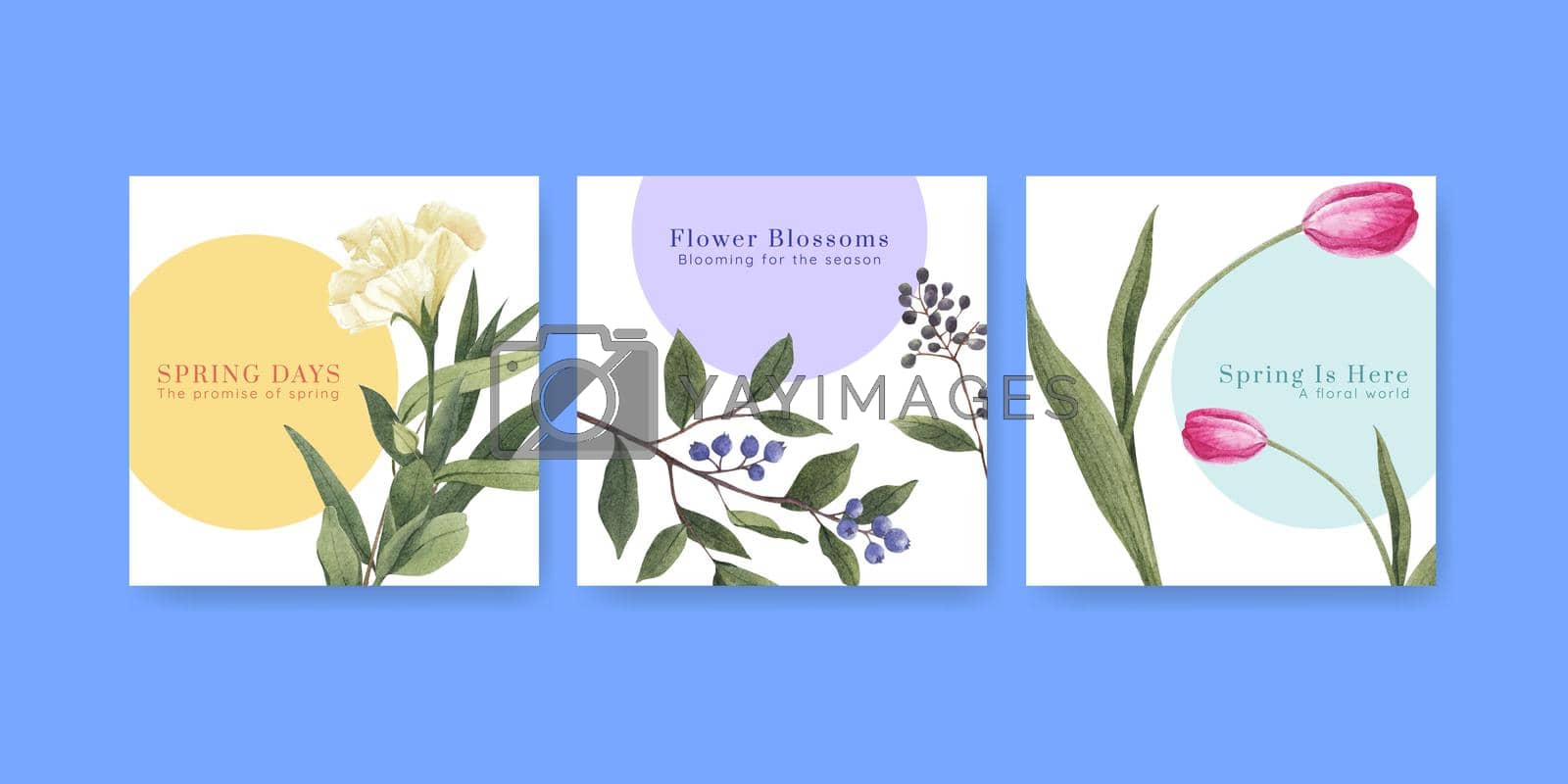 Royalty free image of Banner template with spring flower concept,watercolor style by Photographeeasia