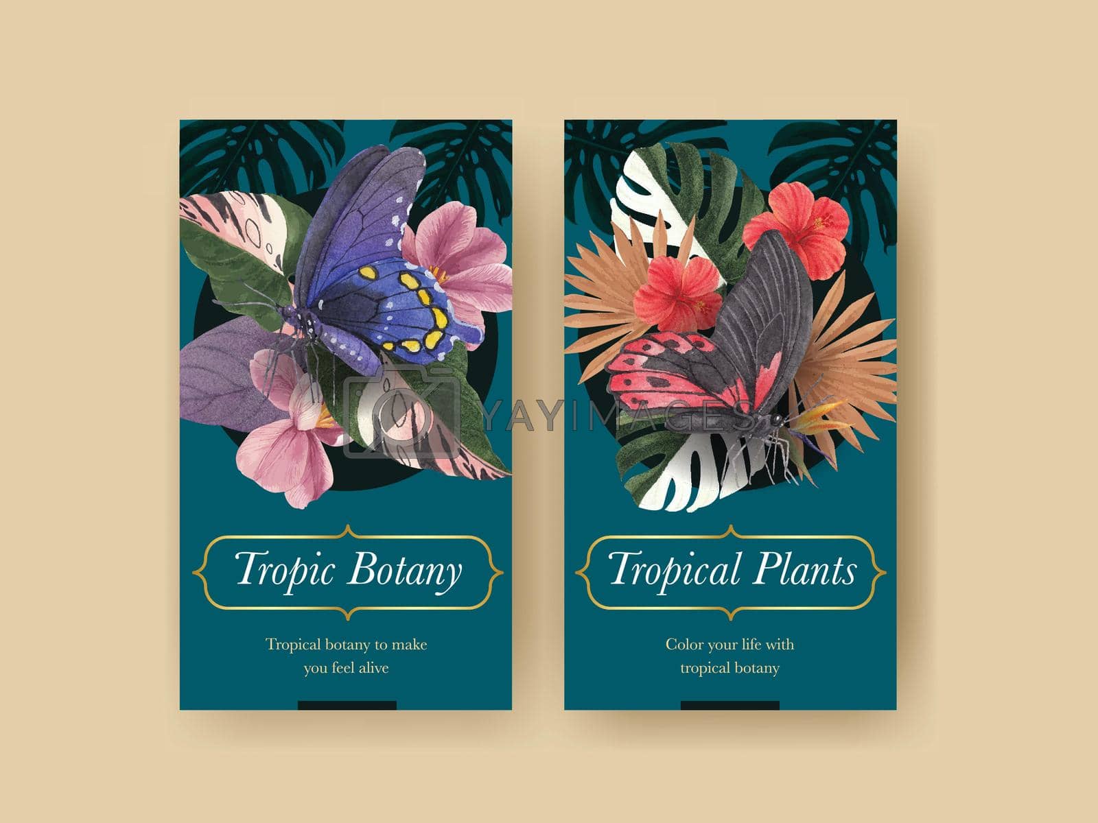 Royalty free image of Instagram template with tropical botany concept, watercolor style by Photographeeasia