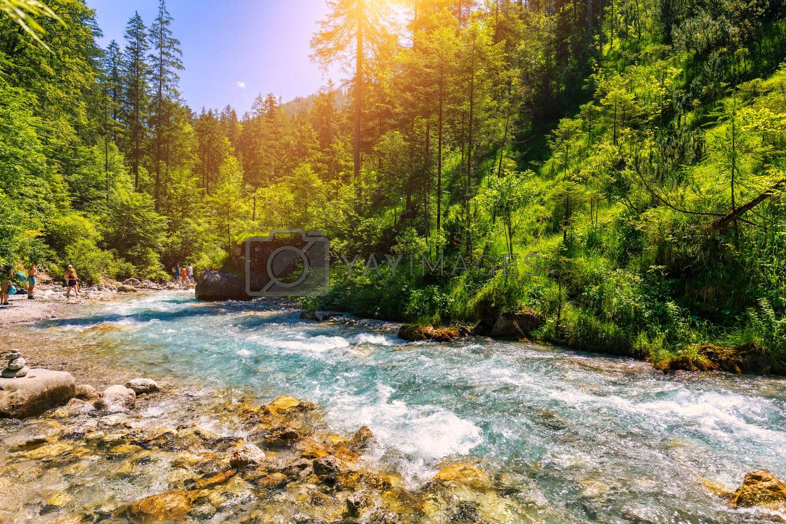 Royalty free image of Valley Wimbachtal in the Berchtesgaden Alps, Germany. Wimbach river in the national park Berchtesgaden, Bayern, Germany. by DaLiu