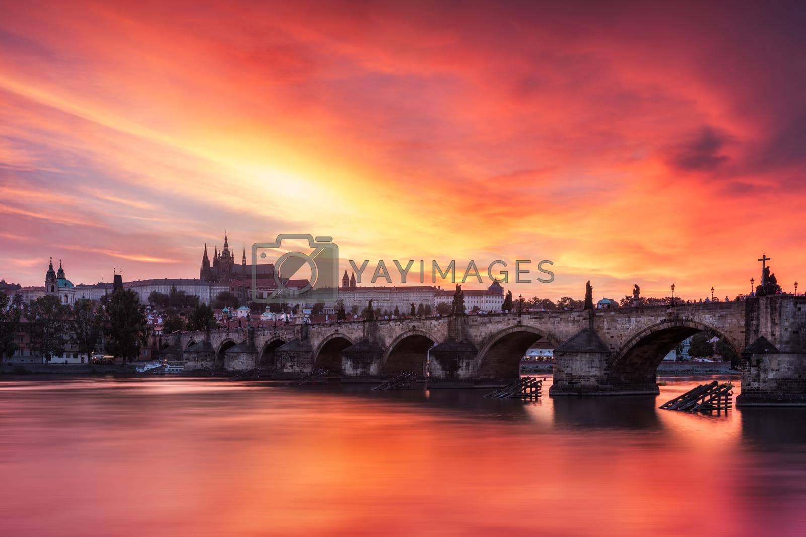 Royalty free image of Charles Bridge in Prague in Czechia. Prague, Czech Republic. Charles Bridge (Karluv Most) and Old Town Tower. Vltava River and Charles Bridge. Concept of world travel, sightseeing and tourism. by DaLiu