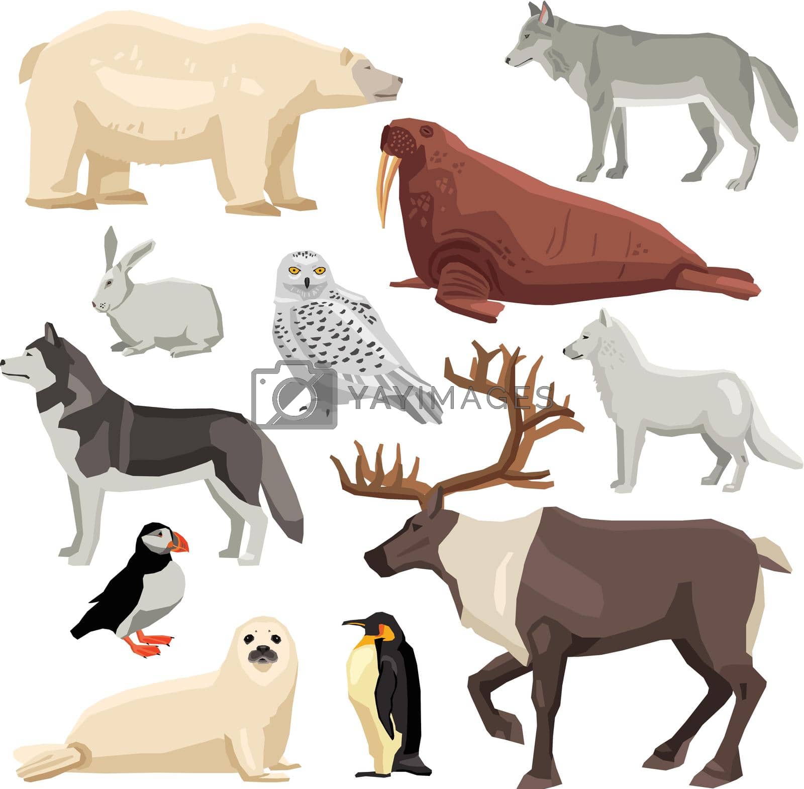 DIfferent flat polar animals and birds set isolated on white background vector illustration