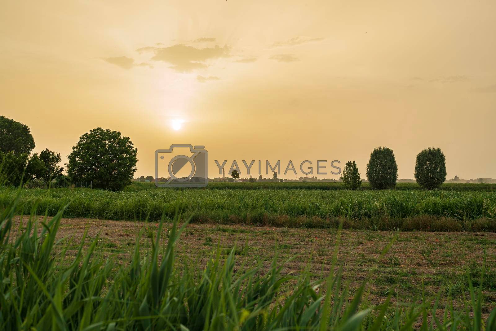 Sunset landscape on the countryside in north Italy