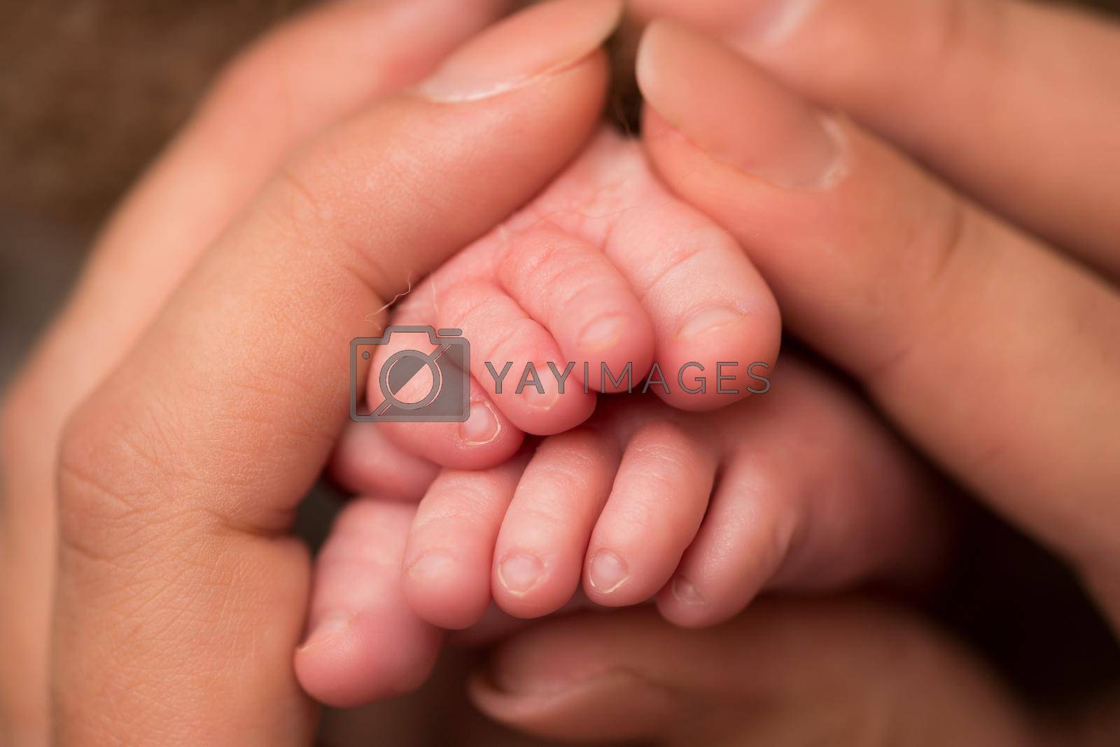 Children's feet in hold hands of mother and father. Mother, father and Child. Happy Family people concept. High quality photo