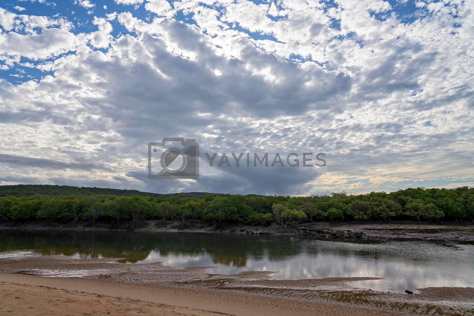 Royalty free image of A Rural Creek At Low Tide by 	JacksonStock
