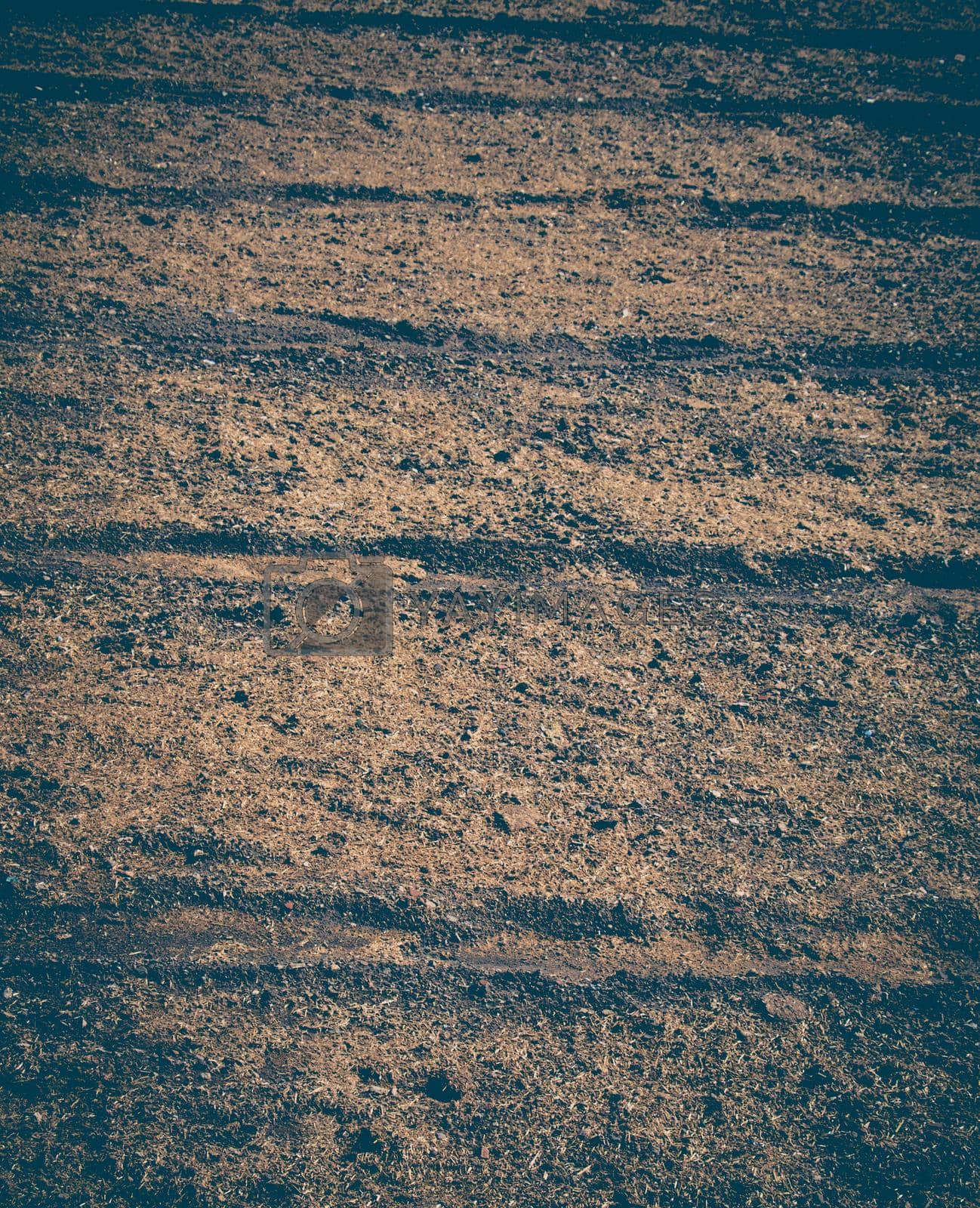 Royalty free image of Plowed field with  traces in view by berkay