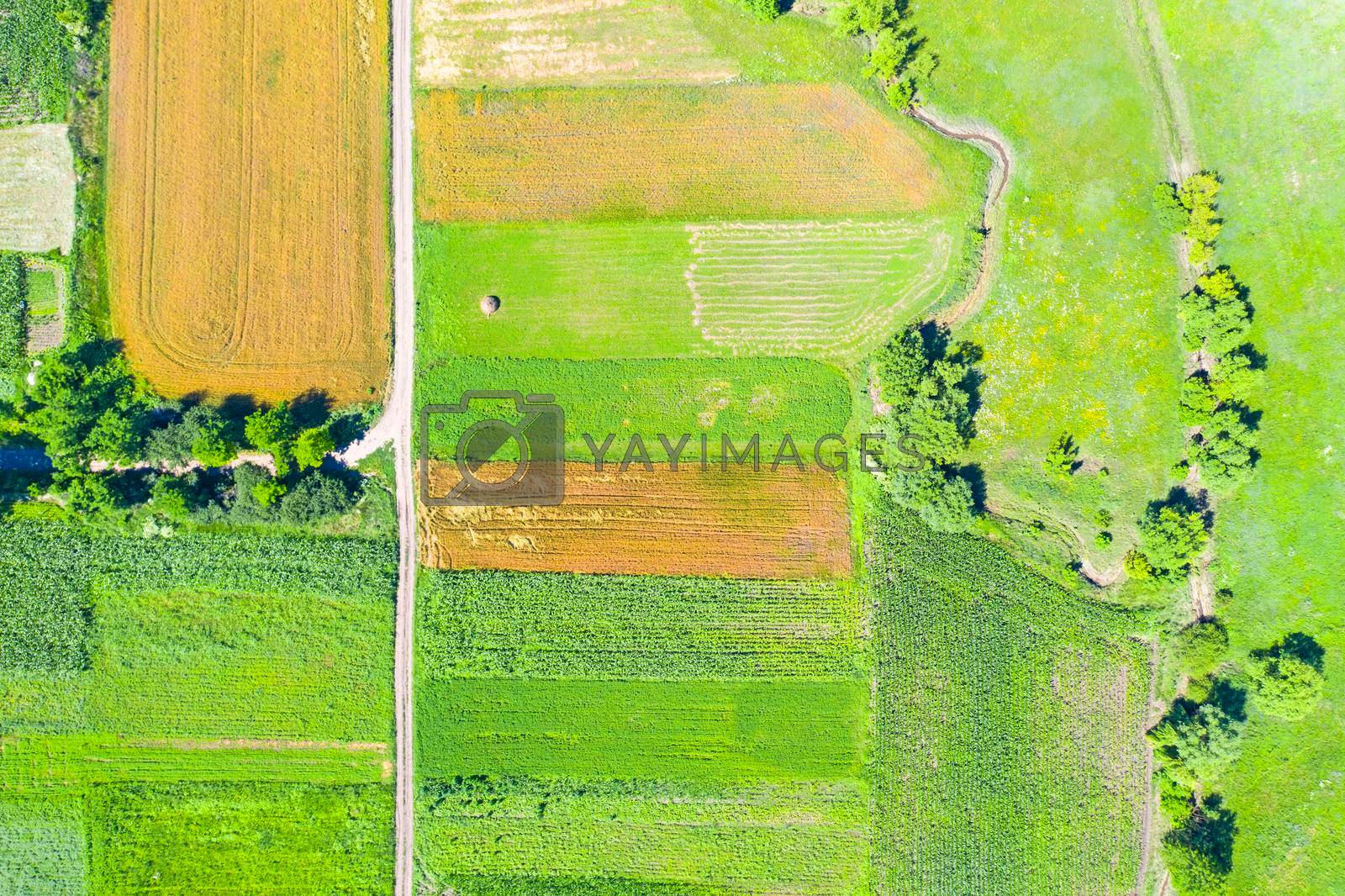 Above view of rural summer scene: fields, road and small brook