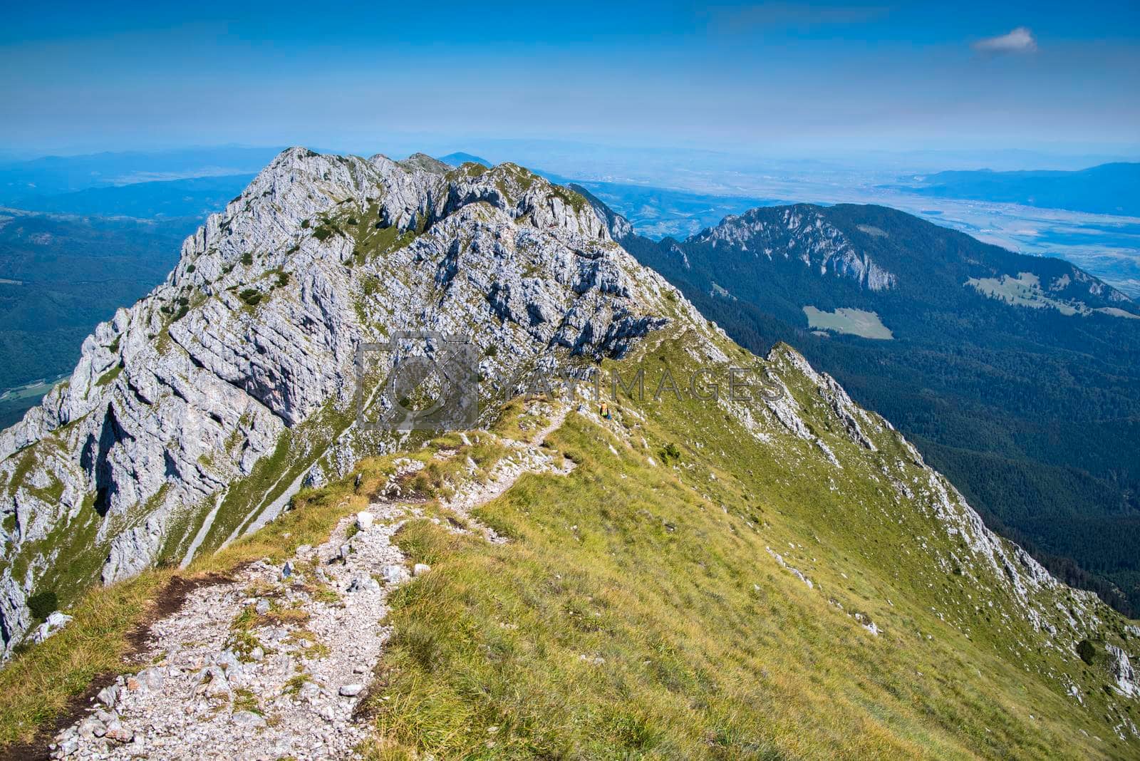 Foot path on summer mountain crest , Piatra Craiului Massif in Romania, rocky summits