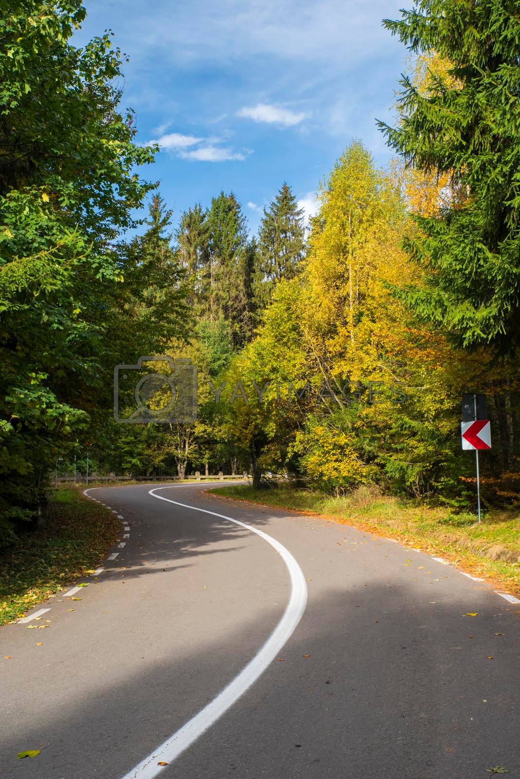 Winding asphalt road in autumn forest, sunshine forest in the mountains