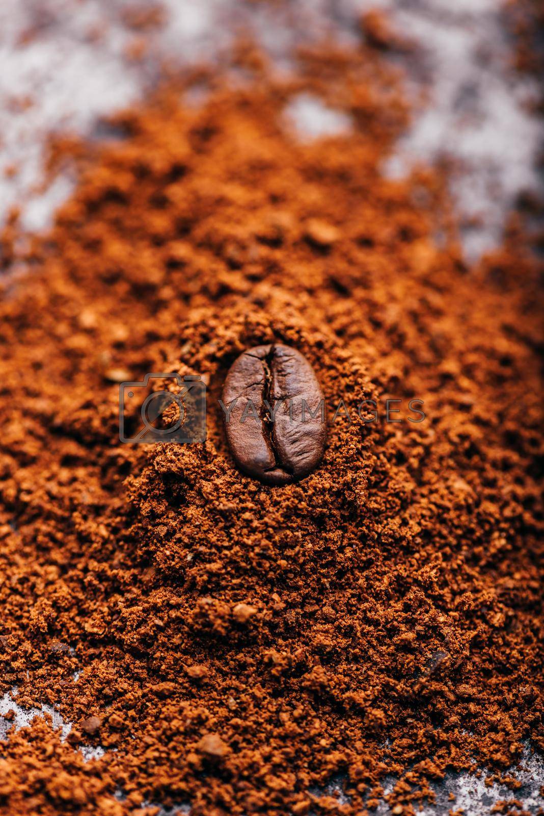 Royalty free image of Coffee bean on heap of grinded coffee by Seva_blsv