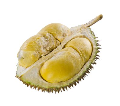 Durian, the king of fruits South East Asia on background.
