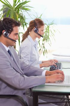 Hotline employees at work