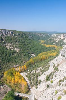 Canyon of the river wolves