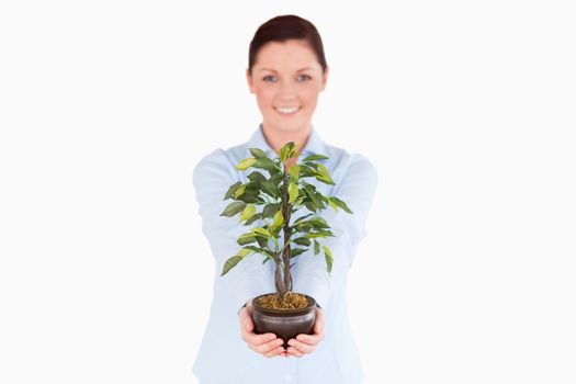 Attractive red-haired woman holding a houseplant while standing