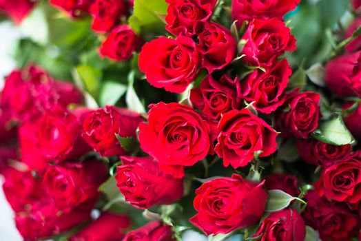bouquet of red roses shot in shallow DOF