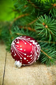 christmas decoration and fir tree