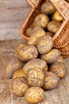 basket with fresh potatoes 