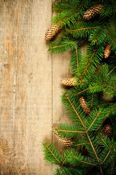 christmas fir tree with pinecones
