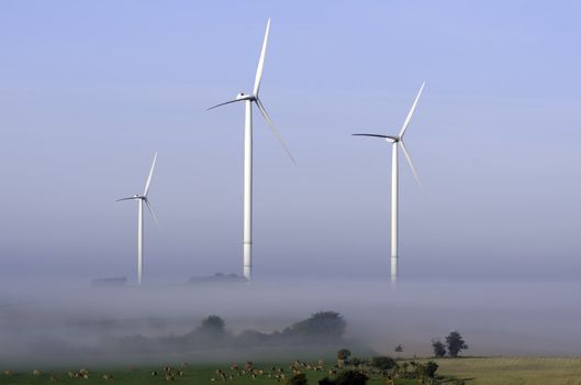 windturbines surrounded by fog in the countryside