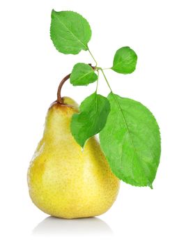 Pear with Leafs