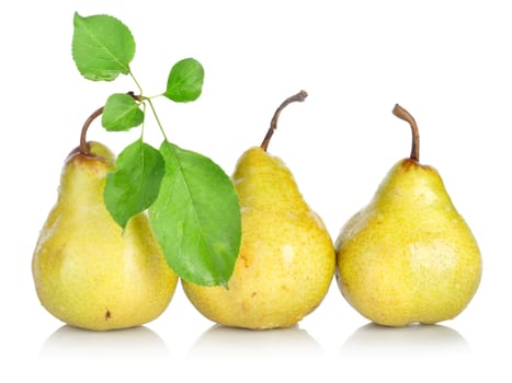 Yellow pears with green leafs