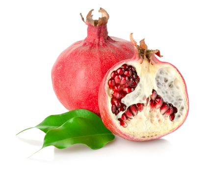 Pomegranate with leaves