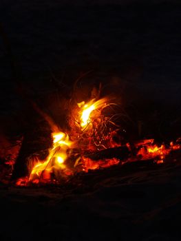 Beach Campfire at Dusk