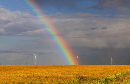 Beautiful rainbow over a field of cereals with wind turbines in the distance.